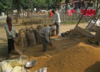 Nepal is almost self-reliant in food grain